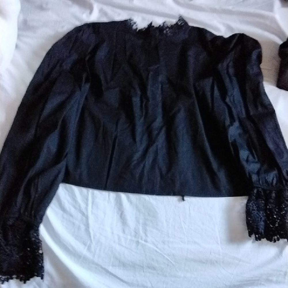 Divided Black Lace Fitted Long Sleeve Blouse